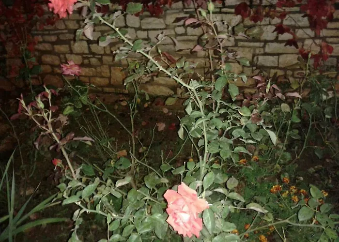 Dreamcatcher-luxury Maisonette No.1 칼라브리타